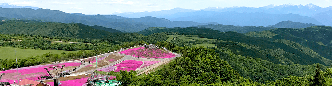 芝桜の丘